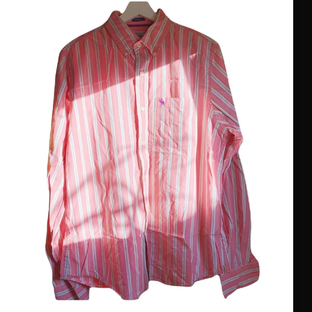 Abercrombie & Fitch Dress Shirt